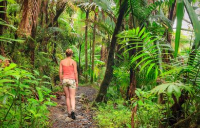 Cómo la Naturaleza del Yunque Transforma la Mente y el Espíritu