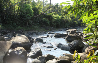 Río: Un Santuario Natural para Meditar y Reconectar